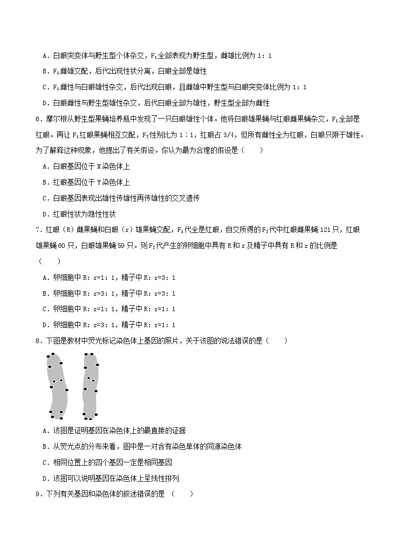2.2  基因在染色体上（习题精练）-2021-2022学年高一生物同步课件精讲+习题精练（人教版2019必修2）（原卷版）第2页
