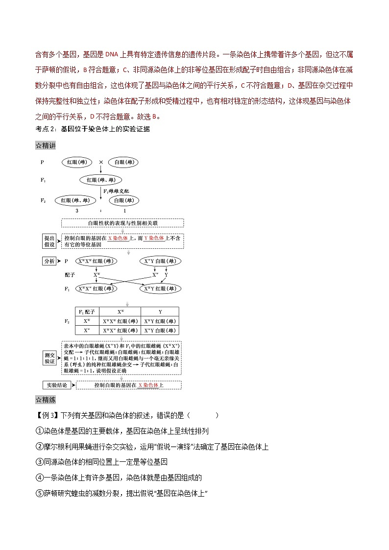 2.2 基因在染色体上-2021-2022学年高一下学期生物同步考点精讲精练（人教版2019必修2）（解析版）第2页