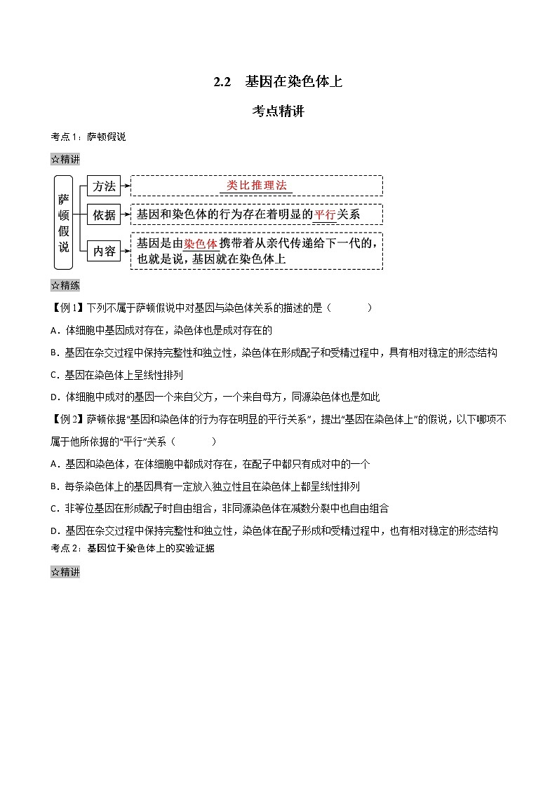 2.2 基因在染色体上-2021-2022学年高一下学期生物同步考点精讲精练（人教版2019必修2）（原卷版）第1页