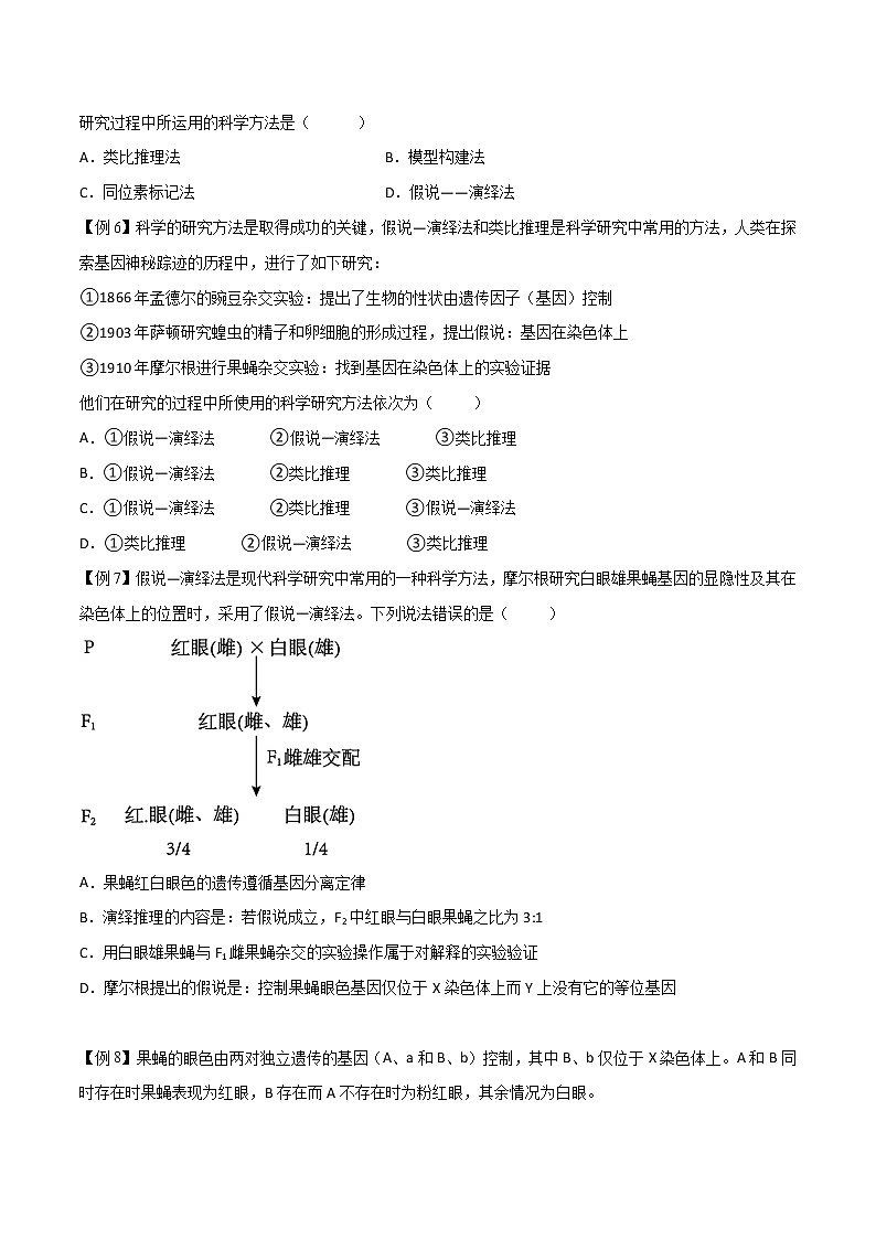 2.2 基因在染色体上-2021-2022学年高一下学期生物同步考点精讲精练（人教版2019必修2）（原卷版）第3页