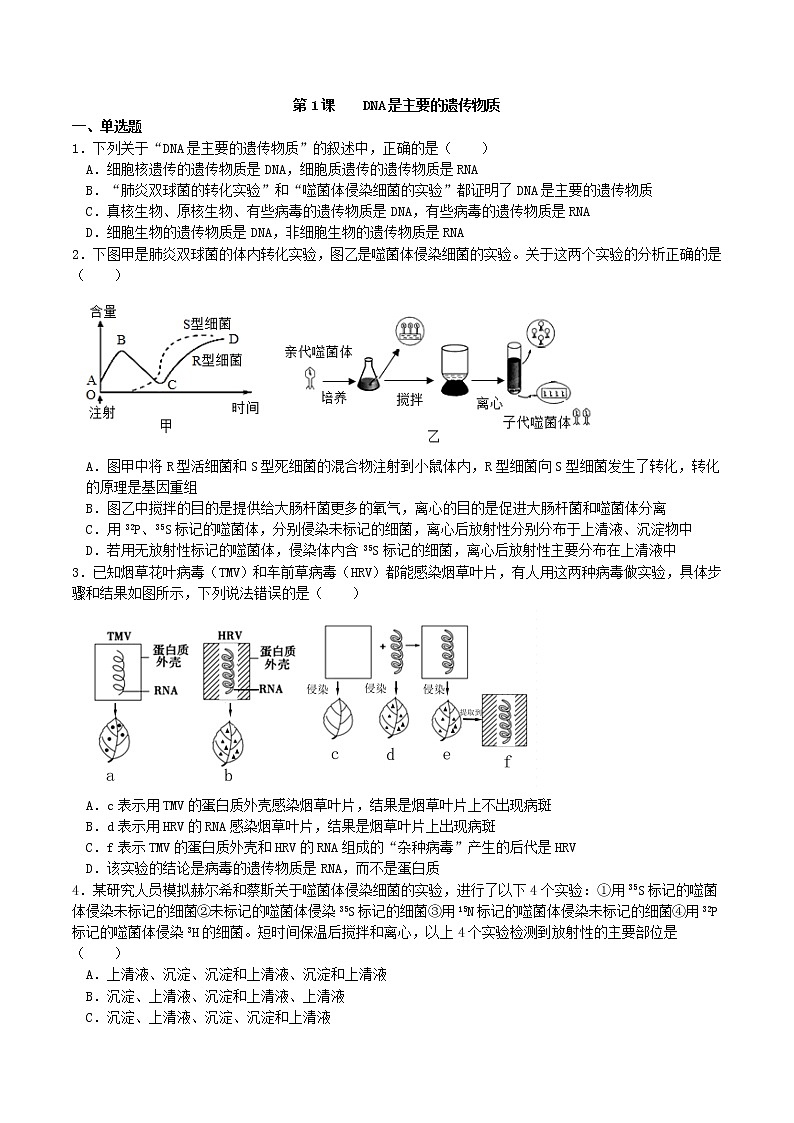 3.1  DNA是主要的遗传物质（习题精练）-2021-2022学年高一生物同步课件精讲+习题精练（人教版2019必修2）（原卷版）第1页