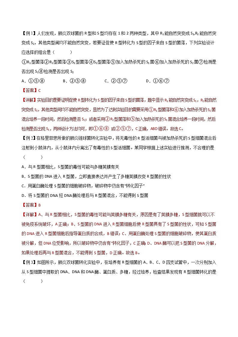 3.1 DNA是主要的遗传物质-2021-2022学年高一下学期生物同步考点精讲精练（人教版2019必修2）（解析版）第2页