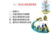 3.1 DNA是主要的遗传物质-2021-2022学年高一下学期生物同步考点精讲精练（人教版2019必修2）课件PPT