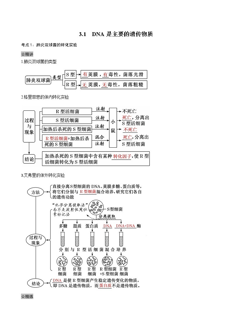 3.1 DNA是主要的遗传物质-2021-2022学年高一下学期生物同步考点精讲精练（人教版2019必修2）（原卷版）第1页
