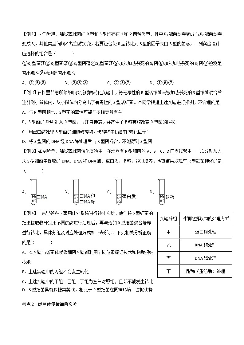 3.1 DNA是主要的遗传物质-2021-2022学年高一下学期生物同步考点精讲精练（人教版2019必修2）（原卷版）第2页