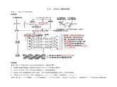 3.2 DNA的结构-2021-2022学年高一下学期生物同步考点精讲精练（人教版2019必修2）课件PPT