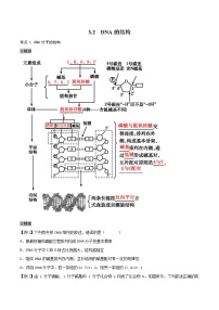 人教版 (2019)必修2《遗传与进化》第2节 DNA的结构背景图课件ppt