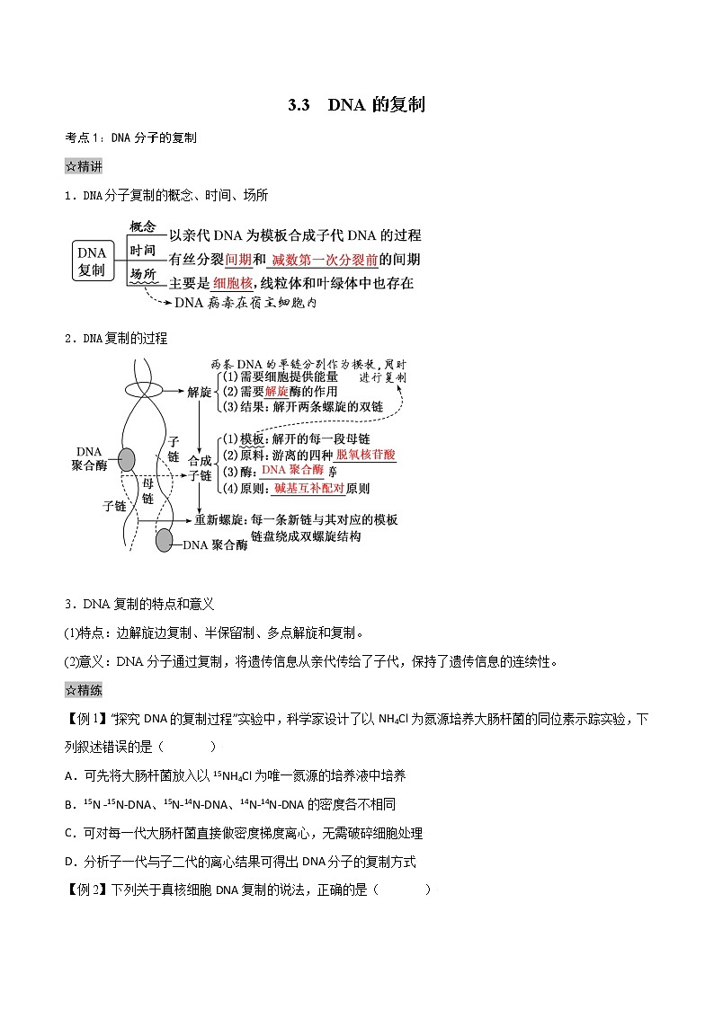 3.3 DNA的复制-2021-2022学年高一下学期生物同步考点精讲精练（人教版2019必修2）（原卷版）第1页