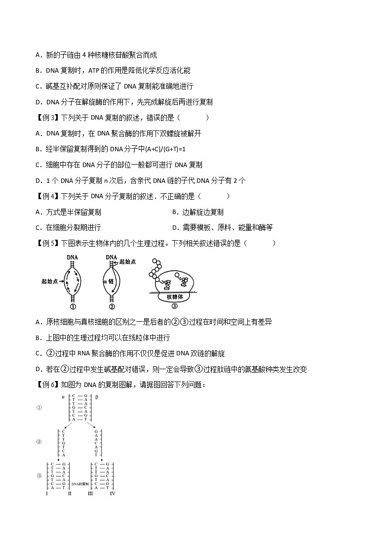3.3 DNA的复制-2021-2022学年高一下学期生物同步考点精讲精练（人教版2019必修2）（原卷版）第2页