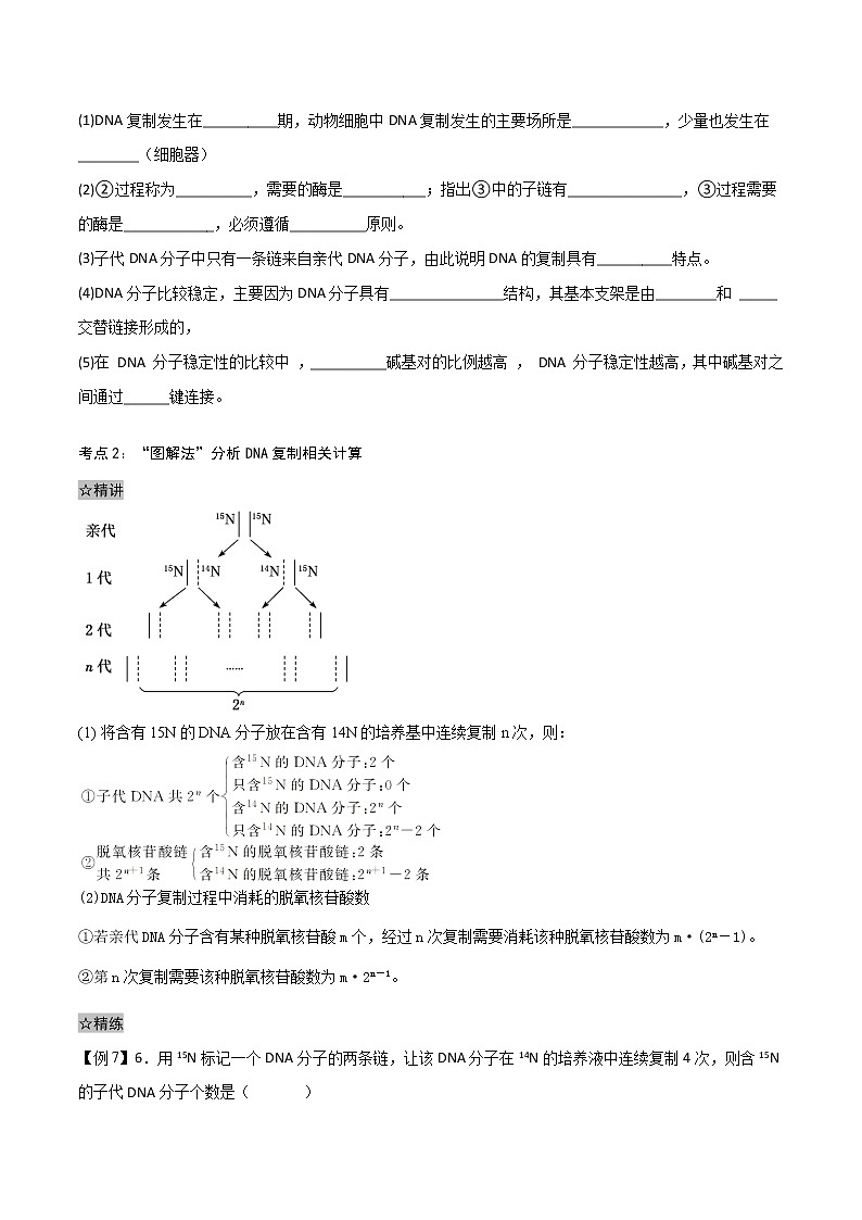 3.3 DNA的复制-2021-2022学年高一下学期生物同步考点精讲精练（人教版2019必修2）（原卷版）第3页