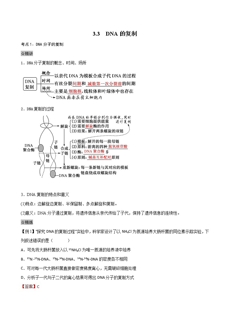 3.3 DNA的复制-2021-2022学年高一下学期生物同步考点精讲精练（人教版2019必修2）（解析版）第1页