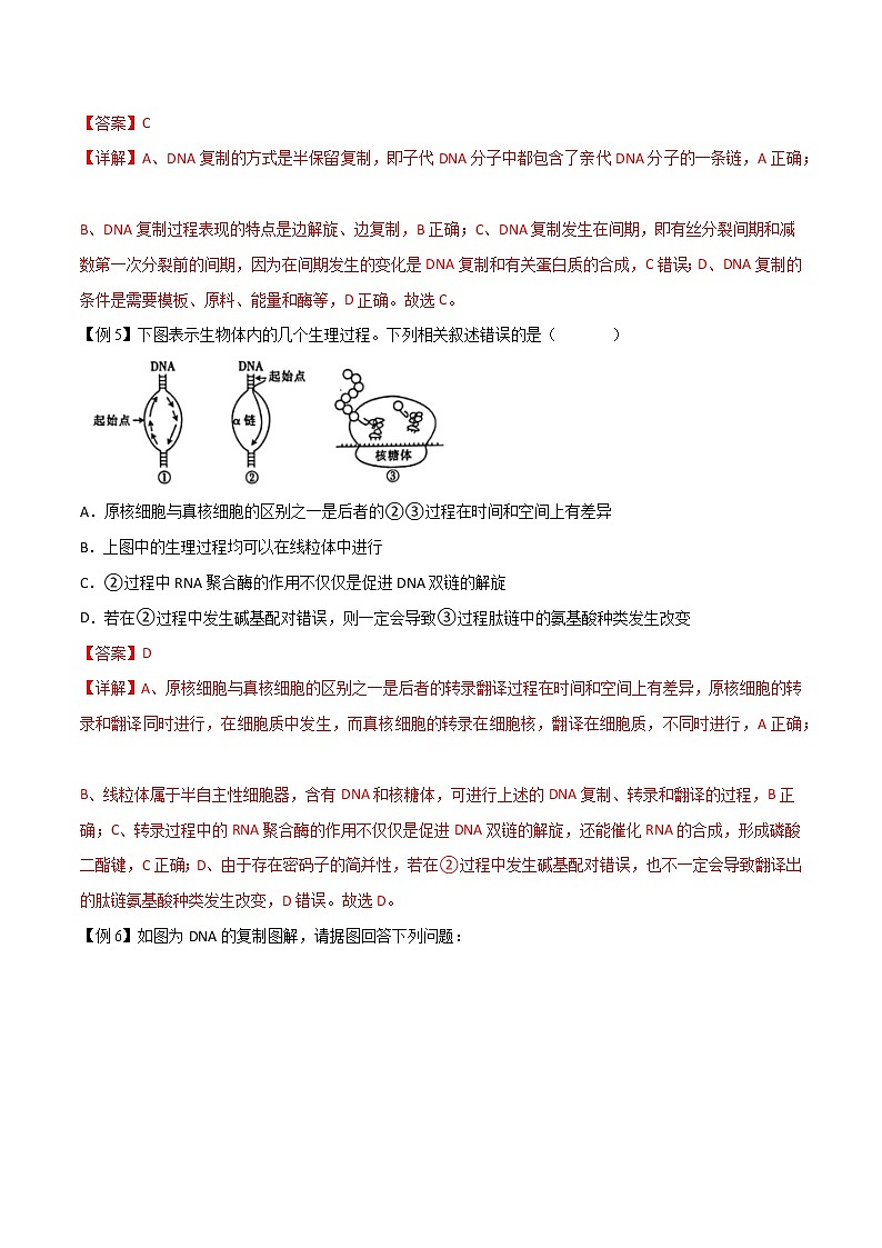 3.3 DNA的复制-2021-2022学年高一下学期生物同步考点精讲精练（人教版2019必修2）（解析版）第3页