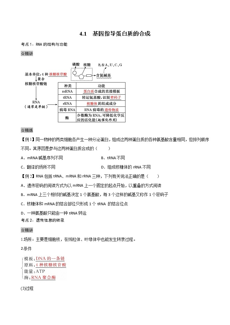 4.1 基因指导蛋白质的合成-2021-2022学年高一下学期生物同步考点精讲精练（人教版2019必修2）（原卷版）第1页