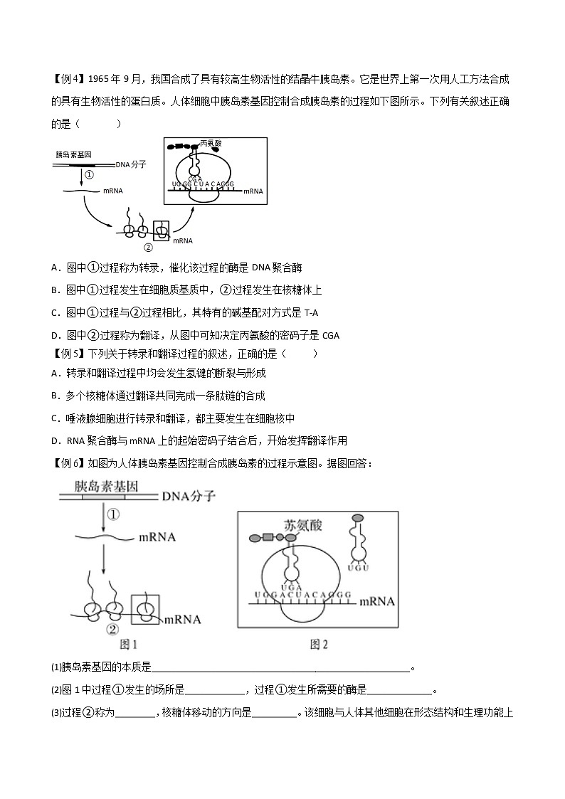 4.1 基因指导蛋白质的合成-2021-2022学年高一下学期生物同步考点精讲精练（人教版2019必修2）（原卷版）第3页