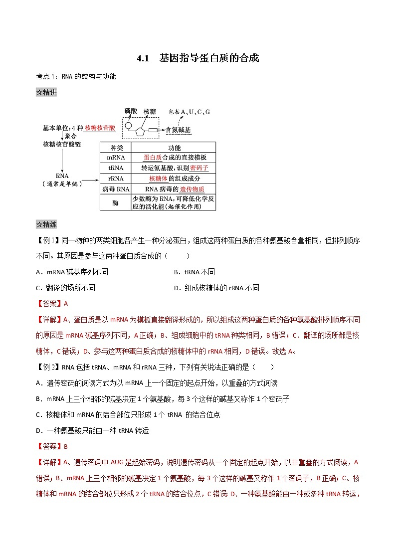 4.1 基因指导蛋白质的合成-2021-2022学年高一下学期生物同步考点精讲精练（人教版2019必修2）（解析版）第1页