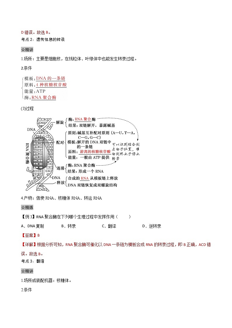 4.1 基因指导蛋白质的合成-2021-2022学年高一下学期生物同步考点精讲精练（人教版2019必修2）（解析版）第2页