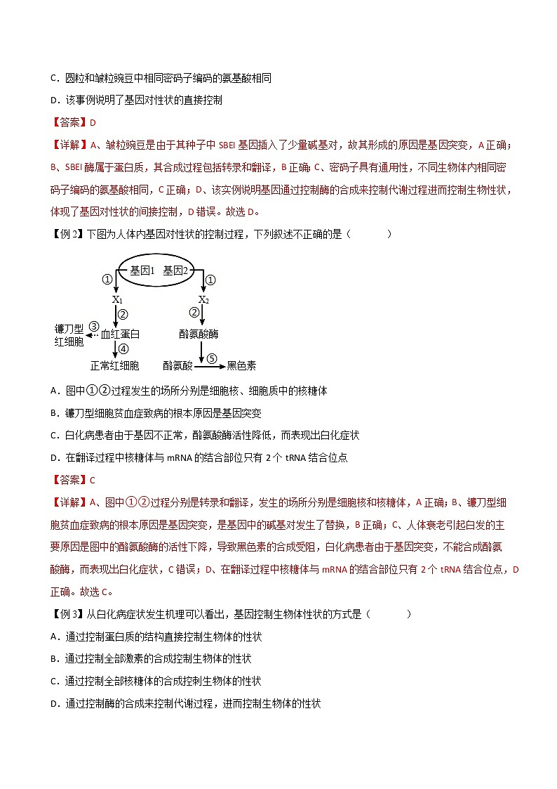 4.2 基因表达与性状的关系-2021-2022学年高一下学期生物同步考点精讲精练（人教版2019必修2）（解析版）第2页