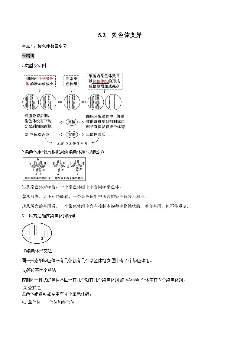 5.2 染色体变异-2021-2022学年高一下学期生物同步考点精讲精练（人教版2019必修2）（原卷版）第1页