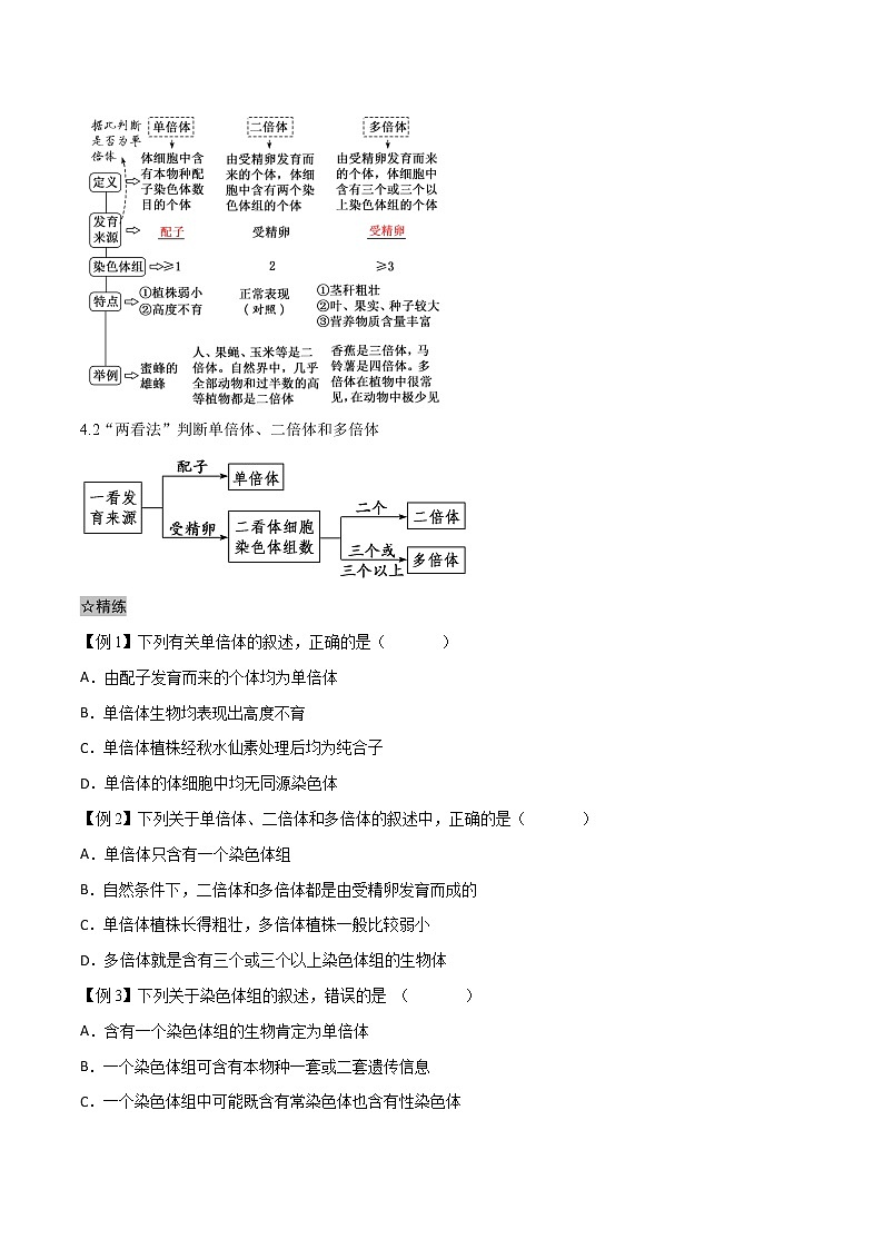 5.2 染色体变异-2021-2022学年高一下学期生物同步考点精讲精练（人教版2019必修2）（原卷版）第2页