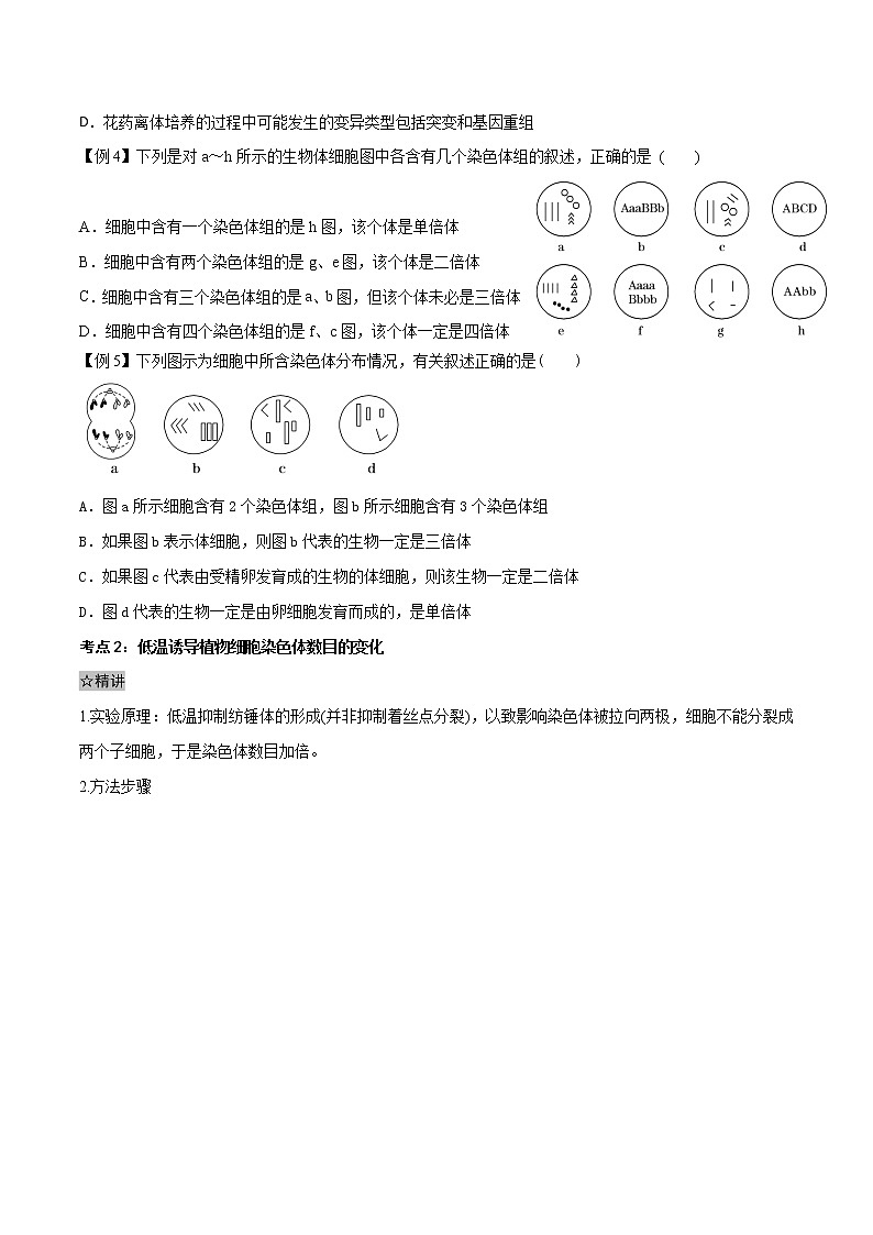 5.2 染色体变异-2021-2022学年高一下学期生物同步考点精讲精练（人教版2019必修2）（原卷版）第3页