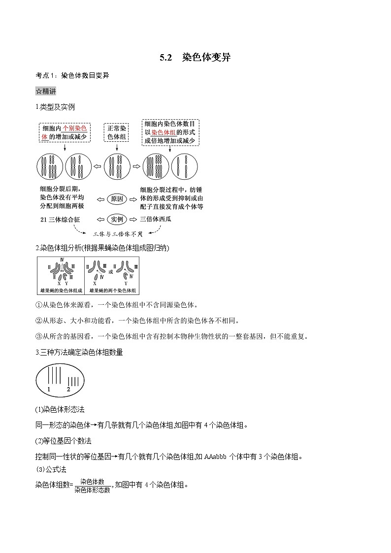 5.2 染色体变异-2021-2022学年高一下学期生物同步考点精讲精练（人教版2019必修2）（解析版）第1页