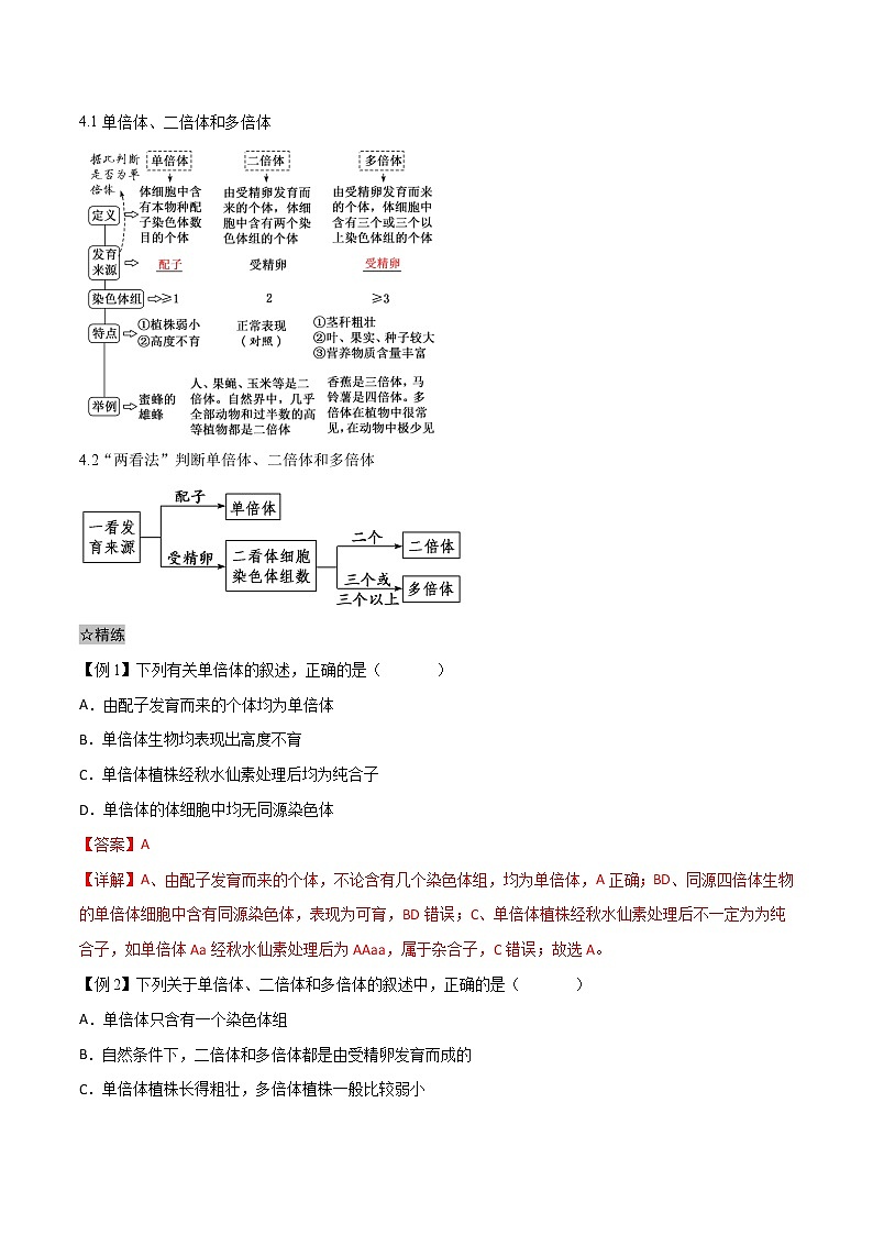 5.2 染色体变异-2021-2022学年高一下学期生物同步考点精讲精练（人教版2019必修2）（解析版）第2页