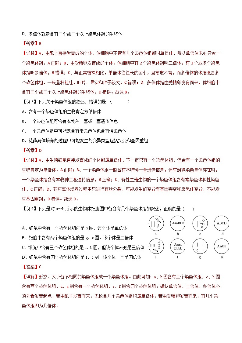 5.2 染色体变异-2021-2022学年高一下学期生物同步考点精讲精练（人教版2019必修2）（解析版）第3页