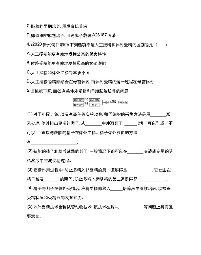 3.2　体外受精和早期胚胎培养-2022版生物选修3 人教版（新课标） 同步练习 （Word含解析）02