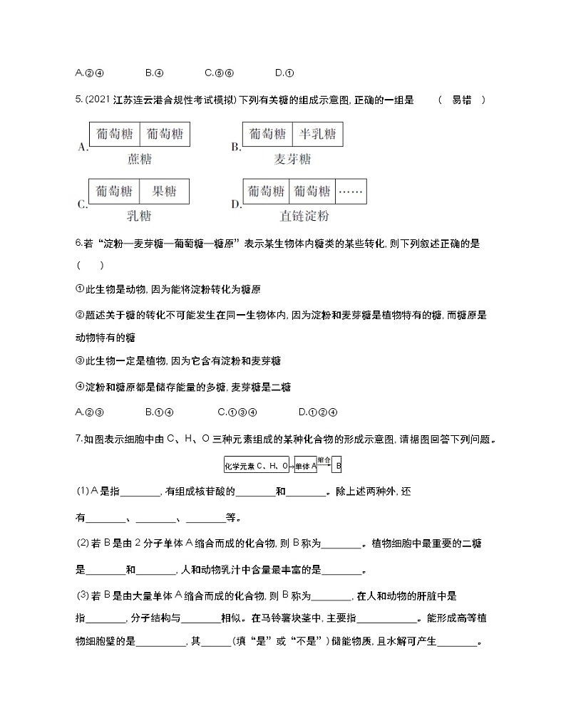 第一课时　碳链是形成生物大分子的骨架、糖类-2022版生物必修第一册 苏教版（2019） 同步练习 （Word含解析）02