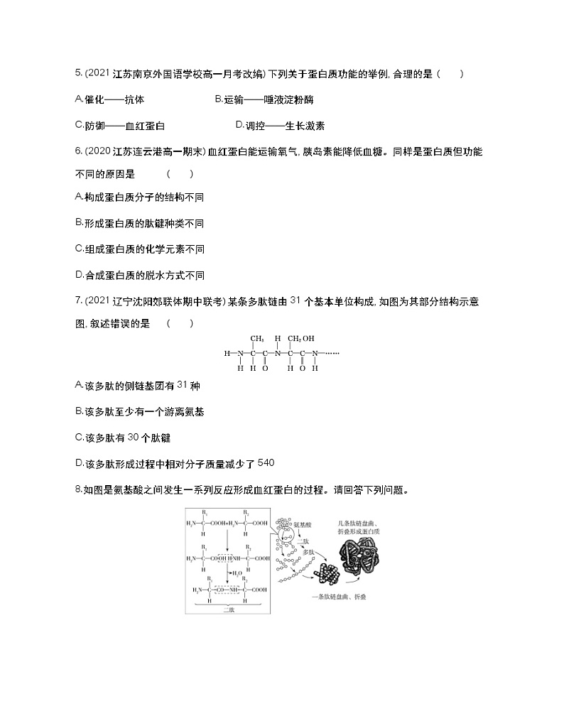 第一课时　细胞的功能主要由蛋白质完成-2022版生物必修第一册 苏教版（2019） 同步练习 （Word含解析）02