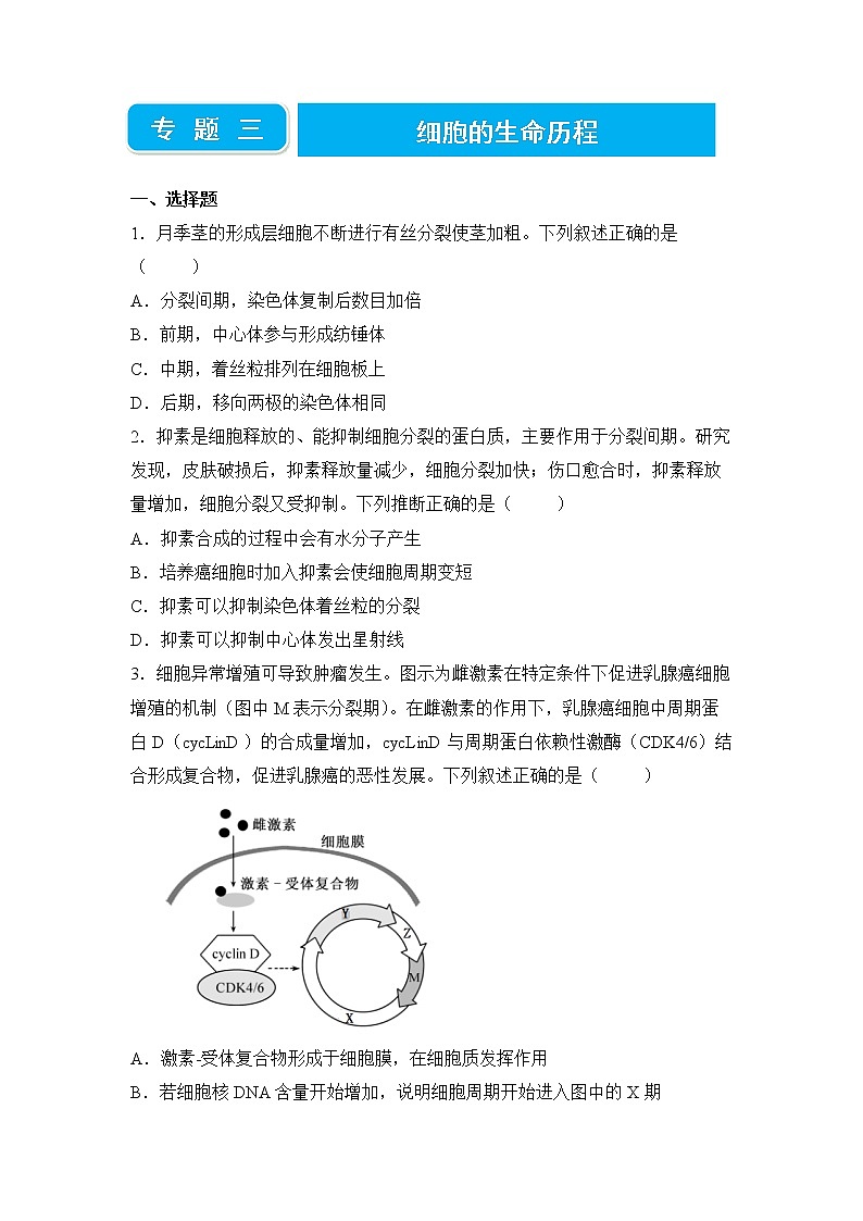 2022届高三二轮专题卷 生物（三） 细胞的生命历程 学生版第1页