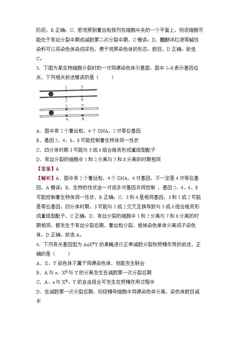 2022届高三二轮专题卷 生物（五） 遗传的细胞学基础与分子学基础 教师版第2页