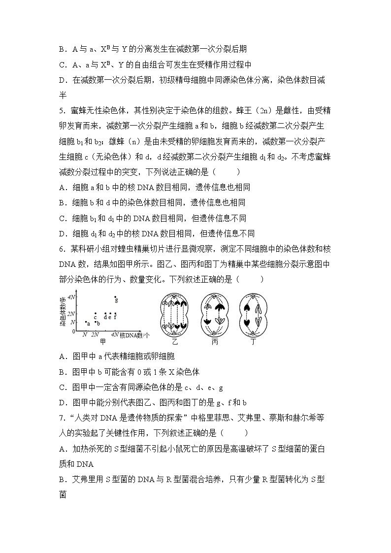 2022届高三二轮专题卷 生物（五） 遗传的细胞学基础与分子学基础 学生版第2页