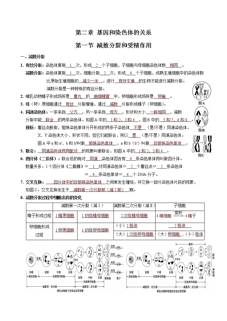 第二章 基因和染色体的关系（教师版）必背知识 高中生物新人教版必修2（2022年）第1页