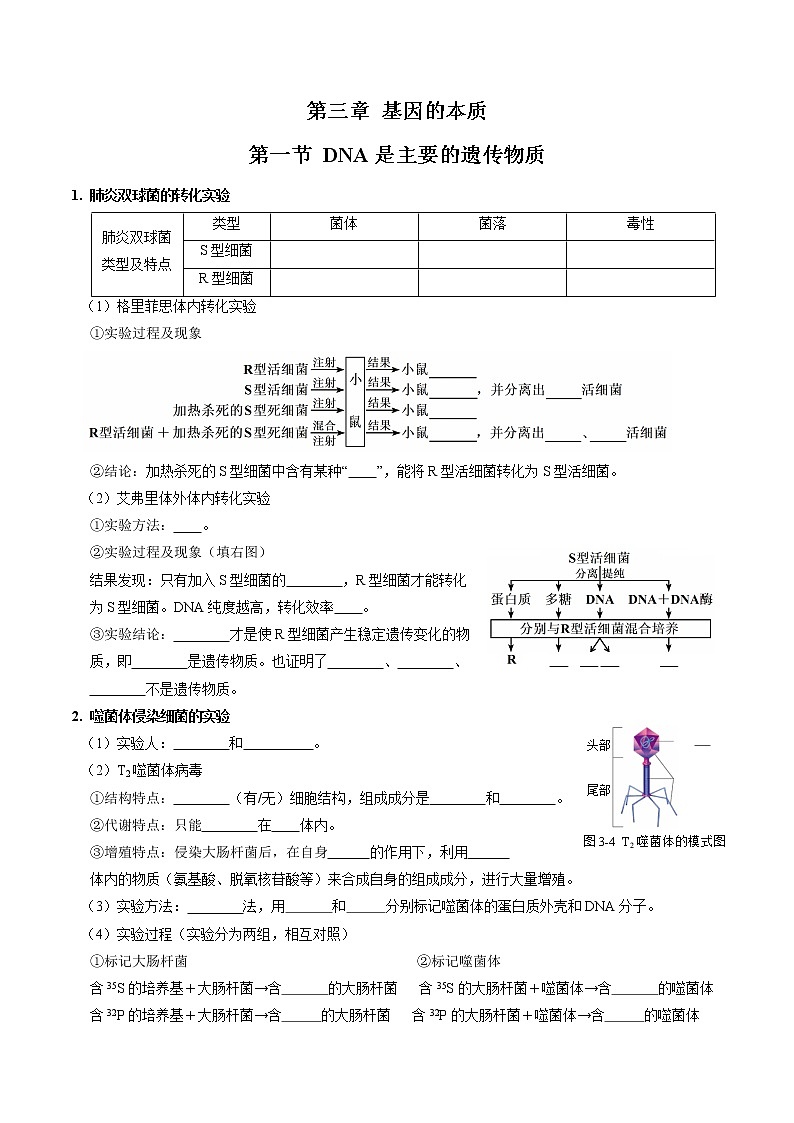 第三章 基因的本质（填空版）必背知识 高中生物新人教版必修2（2022年）第1页