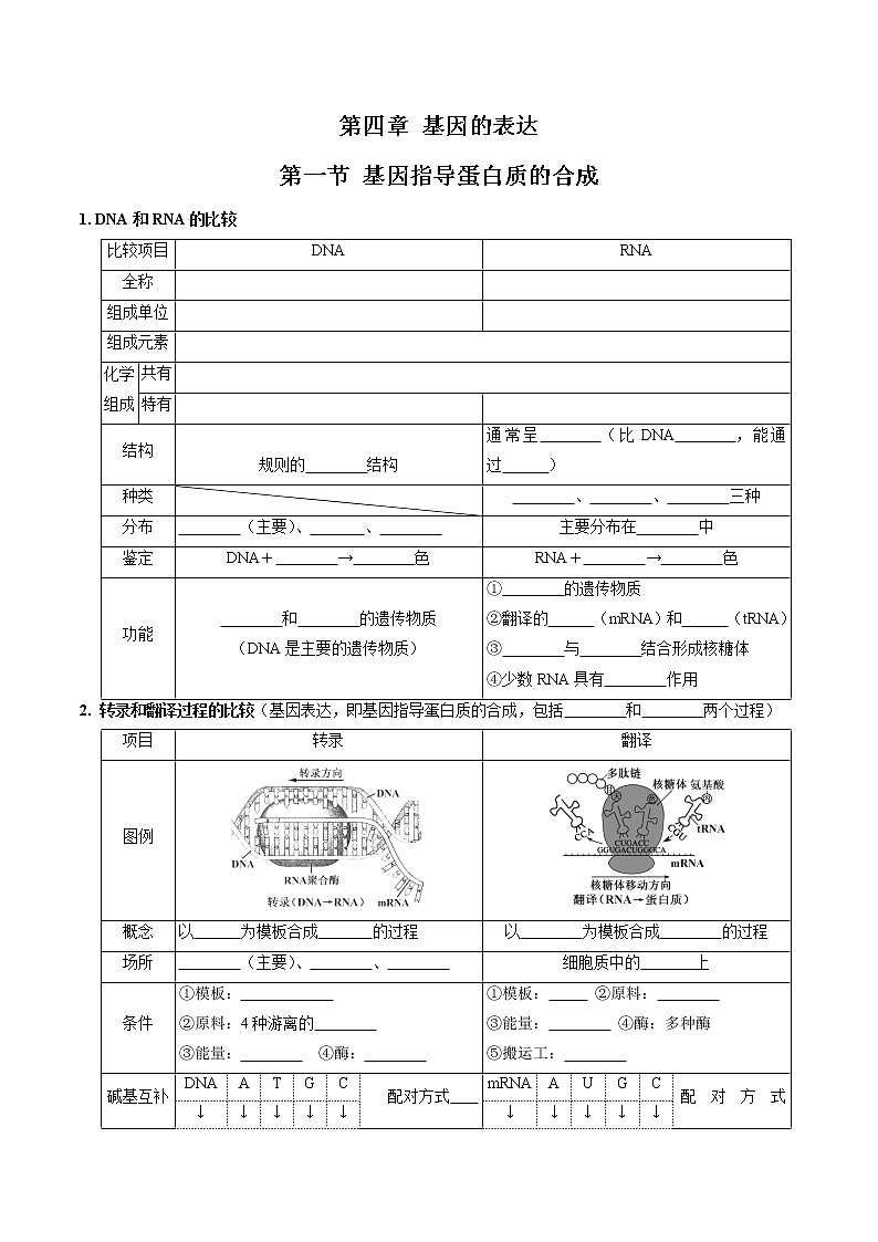第四章 基因的表达（填空版）必背知识 高中生物新人教版必修2（2022年）第1页