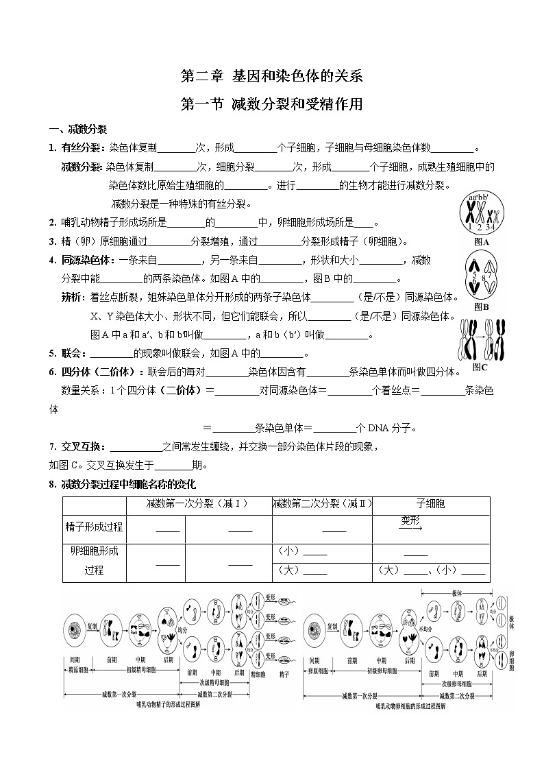 第二章 基因和染色体的关系（填空版）必背知识 高中生物新人教版必修2（2022年）01