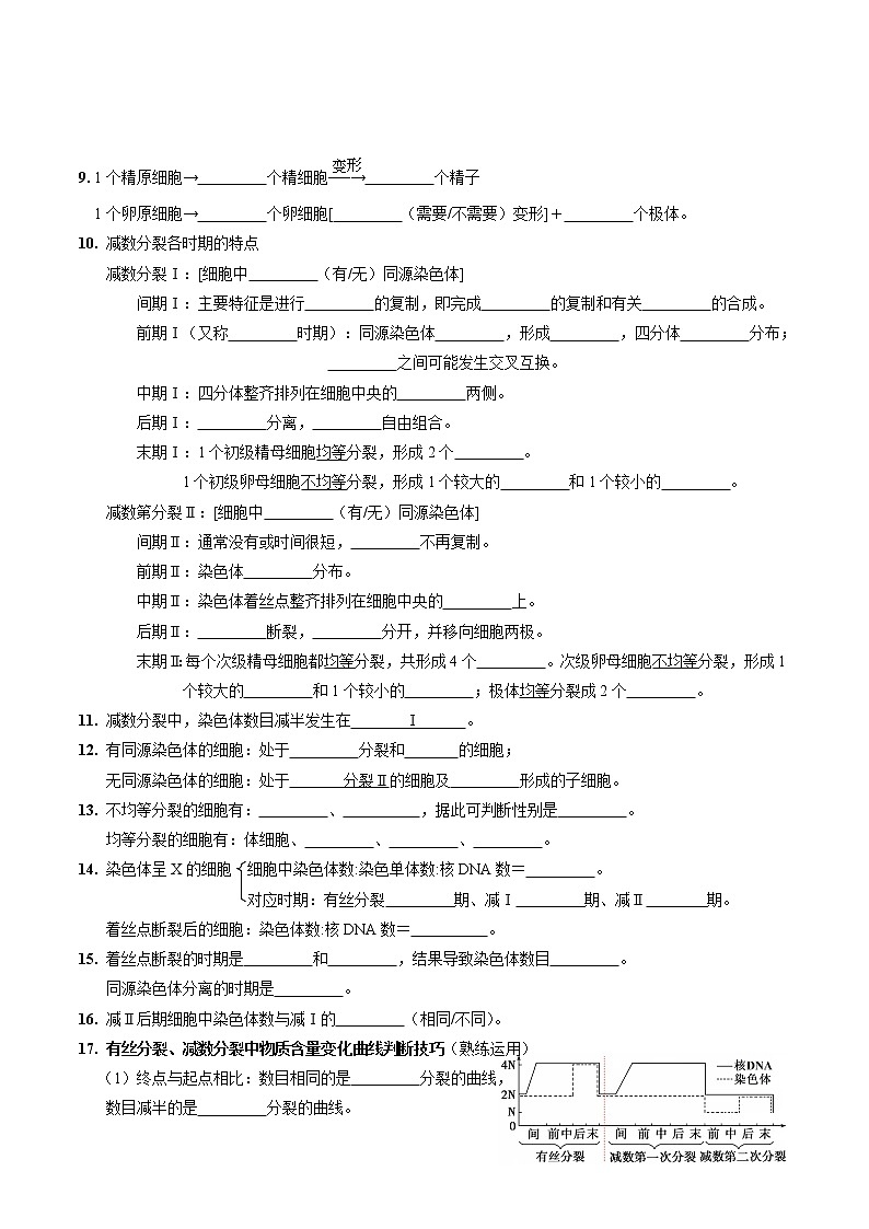 第二章 基因和染色体的关系（填空版）必背知识 高中生物新人教版必修2（2022年）02
