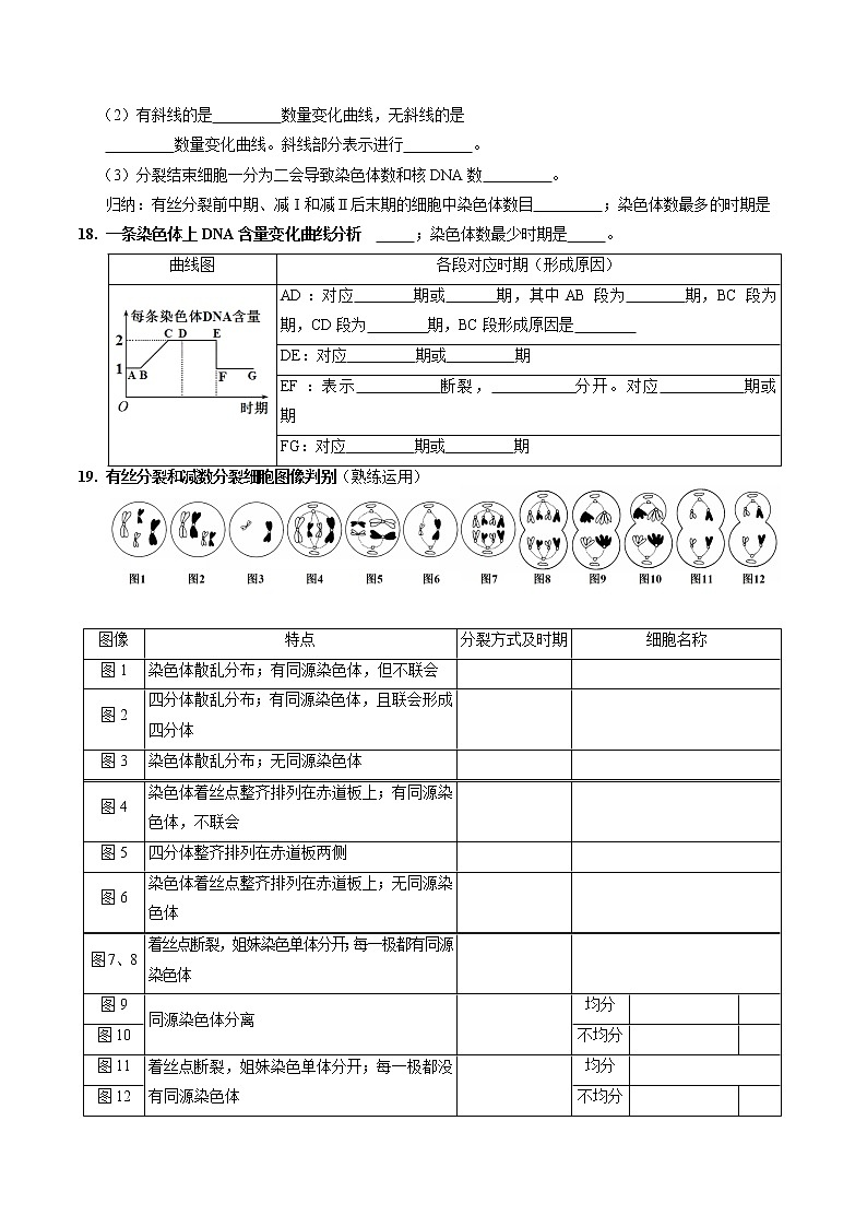 第二章 基因和染色体的关系（填空版）必背知识 高中生物新人教版必修2（2022年）03