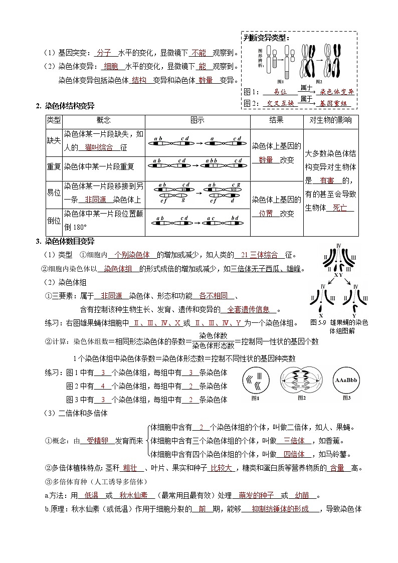 第五章 基因突变及其他变异（教师版）必背知识 高中生物新人教版必修2（2022年）第3页