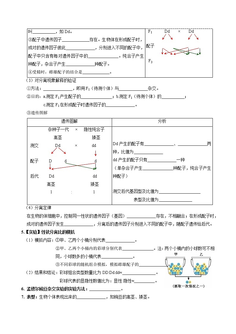 第一章 遗传因子的发现（填空版）必背知识 高中生物新人教版必修2（2022年）02