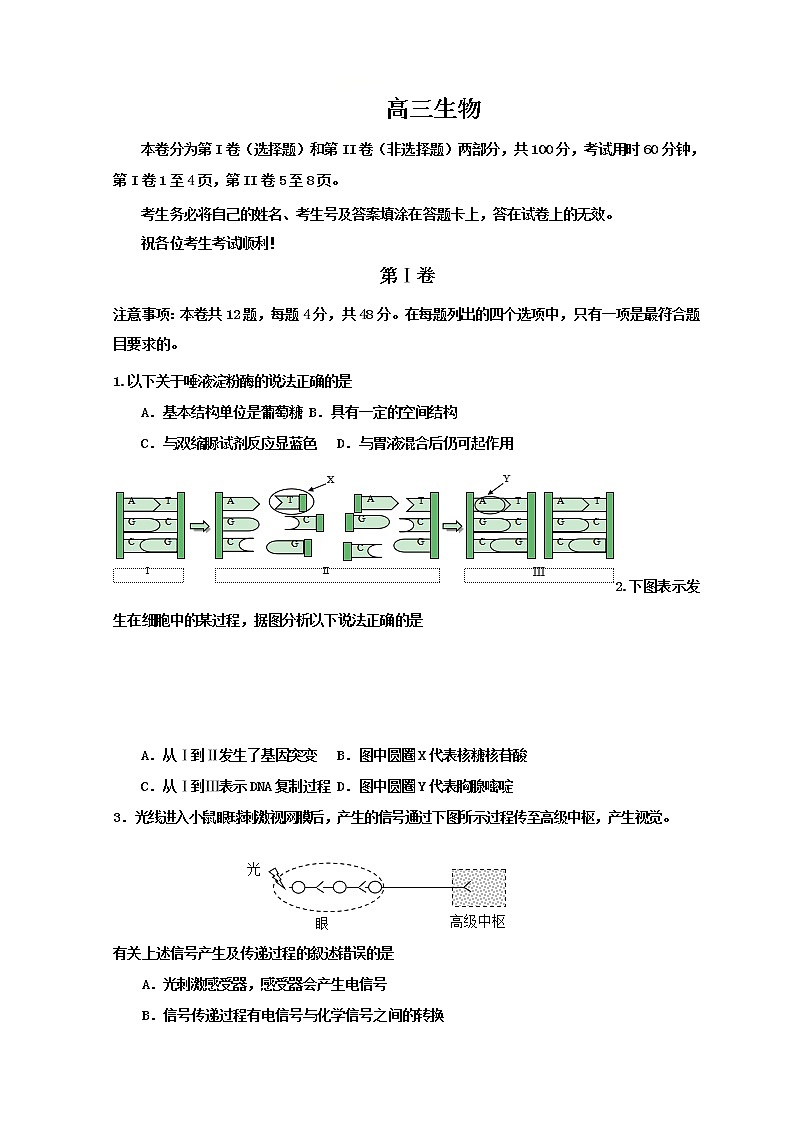 天津市红桥区2021届高三下学期5月第二次质量调查（二模）生物试题含答案第1页