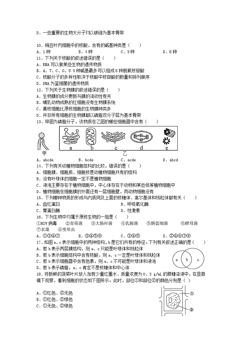 喀喇沁旗锦山蒙古族中学2021-2022学年高一下学期开学考试生物试卷02