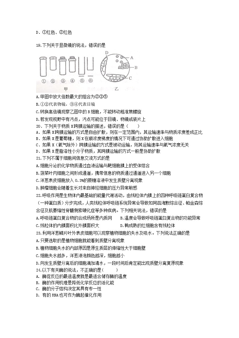 喀喇沁旗锦山蒙古族中学2021-2022学年高一下学期开学考试生物试卷03