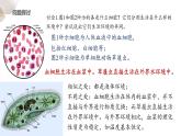 1.1 细胞生活的环境 课件-【新教材】2021-2022学年高二生物选择性（2019）必修一