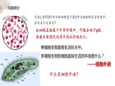 1.1 细胞生活的环境 课件-【新教材】2021-2022学年高二生物选择性（2019）必修一