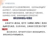 1.2 内环境的稳态 课件-【新教材】2021-2022学年高二生物选择性（2019）必修一