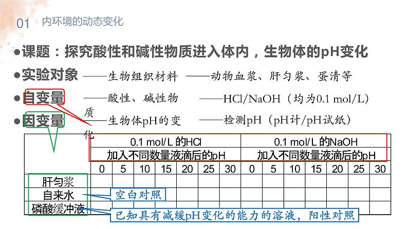 1.2 内环境的稳态 课件-【新教材】2021-2022学年高二生物选择性（2019）必修一第7页