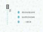2.1 神经调节的结构基础 课件-【新教材】2021-2022学年高二生物选择性（2019）必修一
