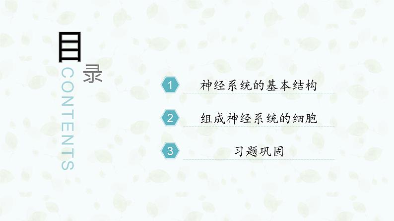 2.1 神经调节的结构基础 课件-【新教材】2021-2022学年高二生物选择性（2019）必修一03